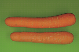 Effet du polisseur sur l'aspect extérieur de la carotte
